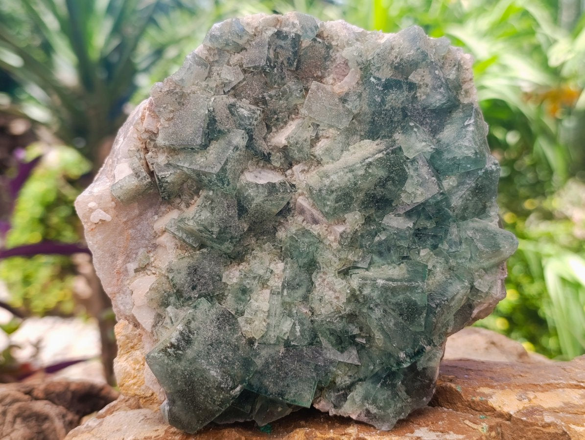 Natural Cubic Green Fluorite Cluster Specimen x 2 From Mandrosonoro, Madagascar