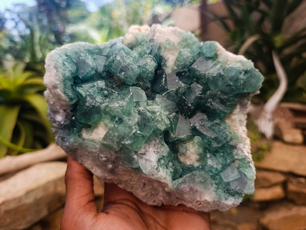 Natural Cubic Green Fluorite Cluster Specimen x 2 From Mandrosonoro, Madagascar