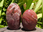 Polished Red Podocarpus Petrified Wood Standing Free Forms x 6 From Mahajanga, Madagascar