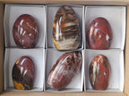Polished Red Podocarpus Petrified Wood Standing Free Forms x 6 From Mahajanga, Madagascar
