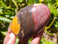 Polished Red Podocarpus Petrified Wood Standing Free Forms x 6 From Mahajanga, Madagascar