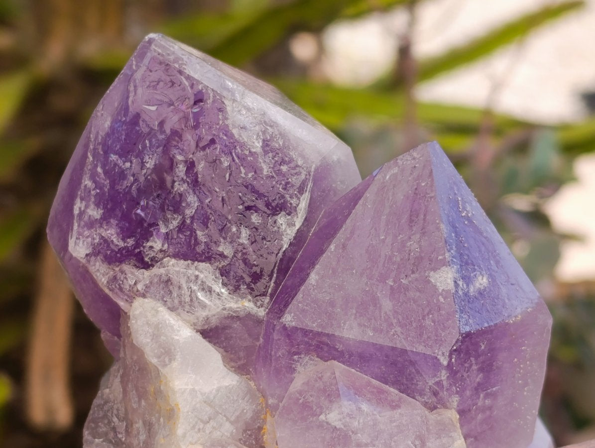 Natural Jacaranda Amethyst Crystal Clusters x 2 From Mumbwa, Zambia