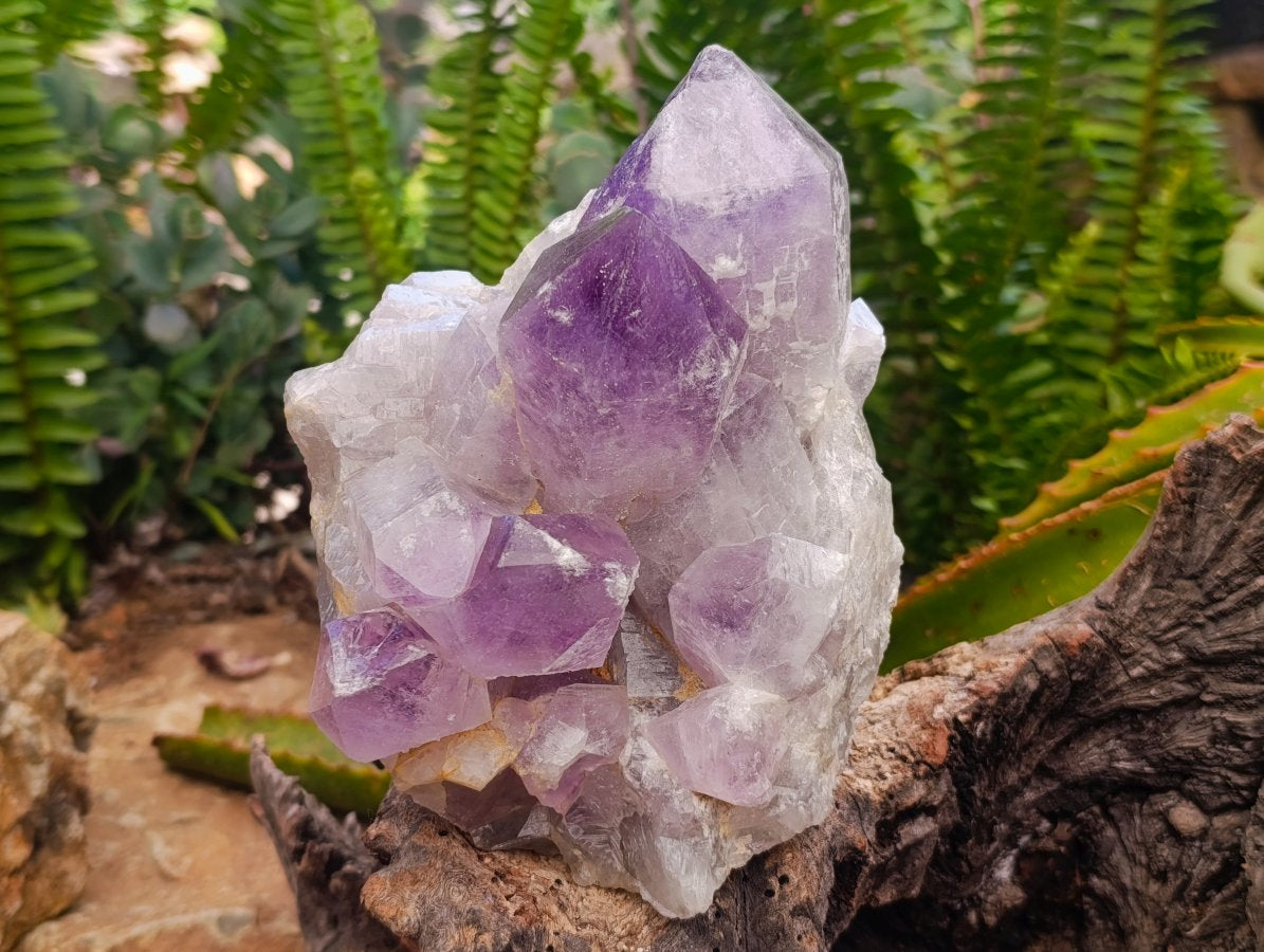 Natural Jacaranda Amethyst Crystal Clusters x 2 From Mumbwa, Zambia