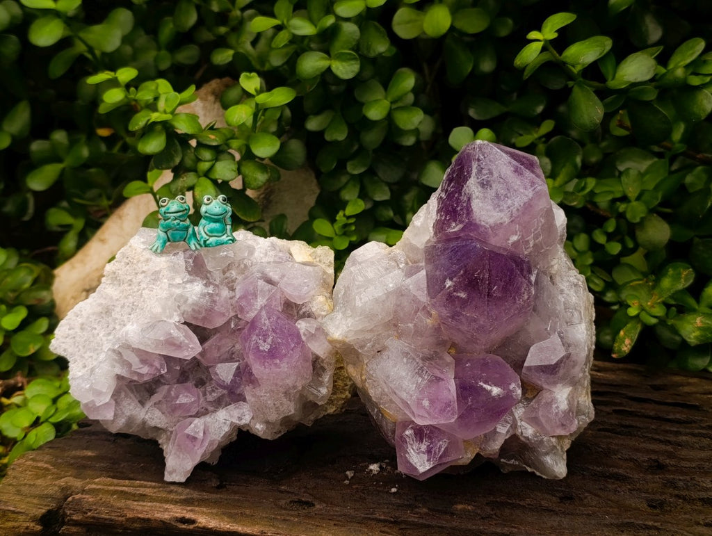 Natural Jacaranda Amethyst Crystal Clusters x 2 From Mumbwa, Zambia
