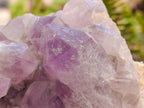 Natural Jacaranda Amethyst Crystal Clusters x 2 From Mumbwa, Zambia