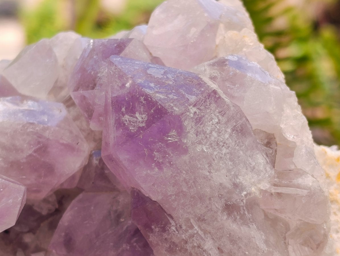 Natural Jacaranda Amethyst Crystal Clusters x 2 From Mumbwa, Zambia