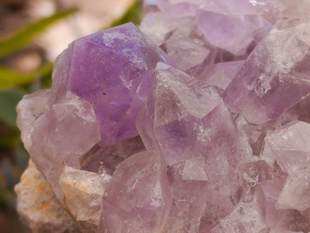 Natural Jacaranda Amethyst Crystal Clusters x 2 From Mumbwa, Zambia