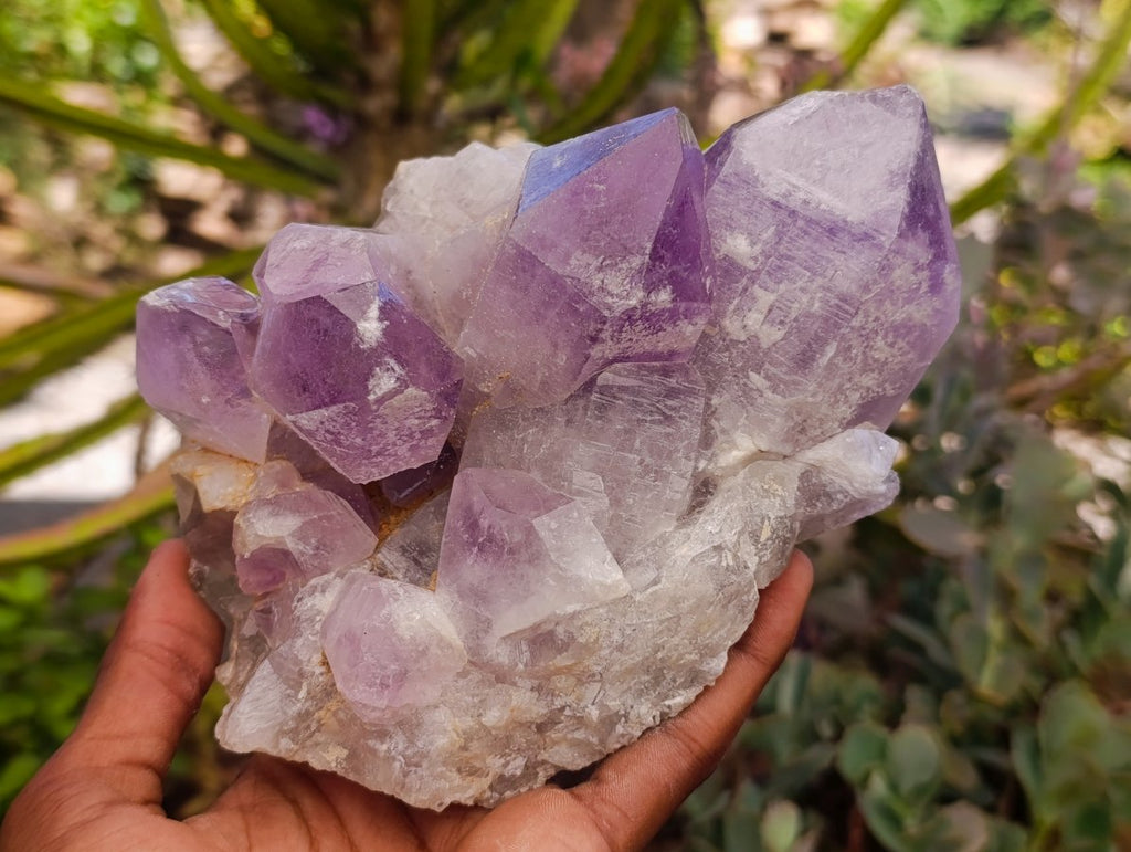 Natural Jacaranda Amethyst Crystal Clusters x 2 From Mumbwa, Zambia