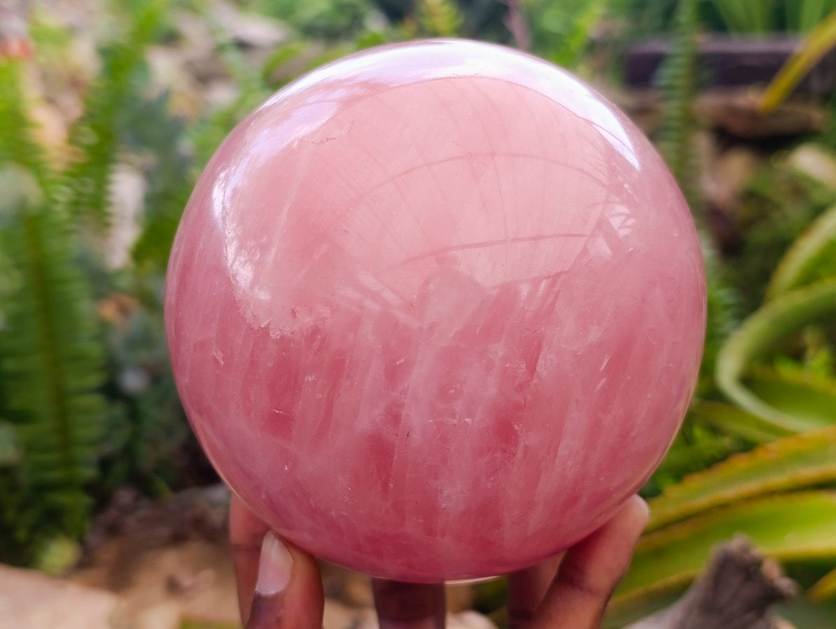 Polished Large Gemmy Star Rose Quartz Sphere x 1 From Madagascar