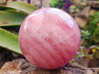 Polished Large Gemmy Star Rose Quartz Sphere x 1 From Madagascar