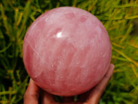 Polished Large Gemmy Star Rose Quartz Sphere x 1 From Madagascar