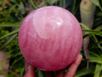 Polished Large Gemmy Star Rose Quartz Sphere x 1 From Madagascar