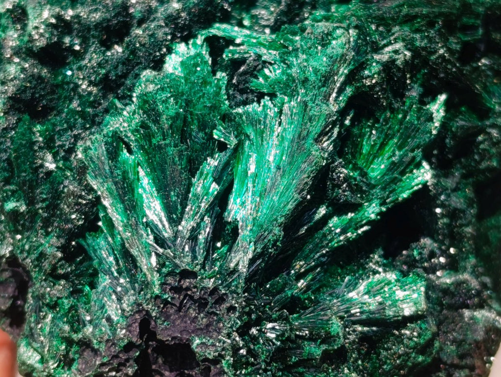 Natural Silky Malachite Specimens x 3 From Kasompe, Congo
