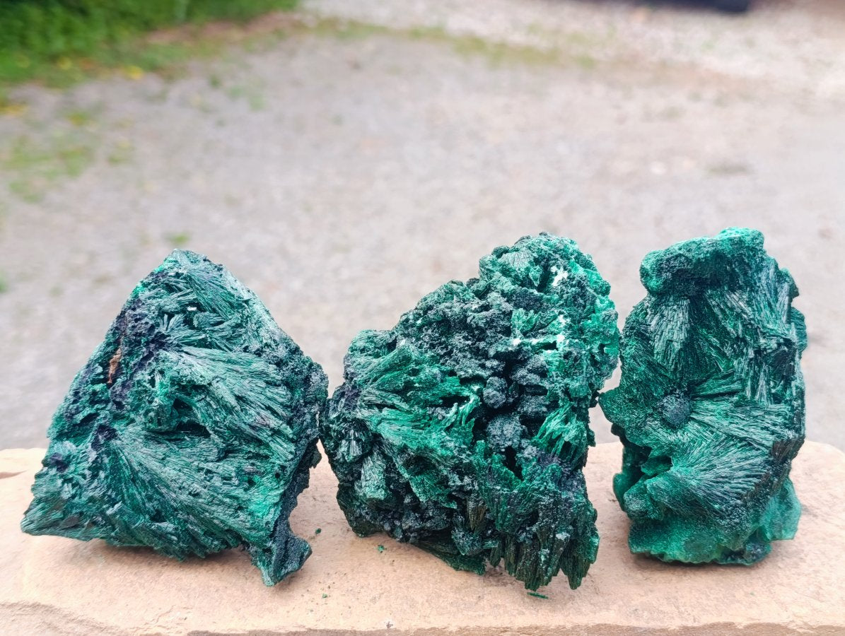 Natural Silky Malachite Specimens x 3 From Kasompe, Congo