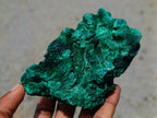 Natural Silky Malachite Specimens x 3 From Kasompe, Congo