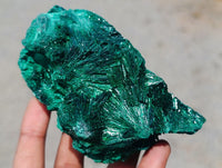 Natural Silky Malachite Specimens x 3 From Kasompe, Congo