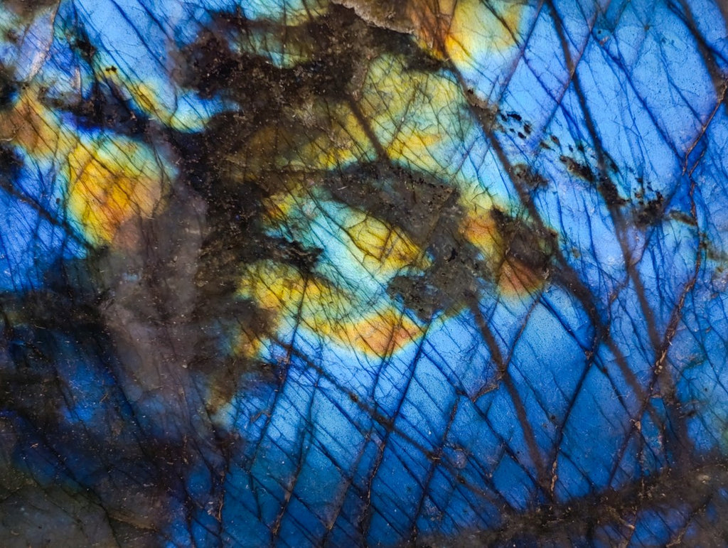 Polished on One Side XL Labradorite Standing Display Piece x 1 From Madagascar