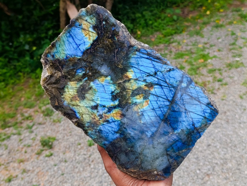 Polished on One Side XL Labradorite Standing Display Piece x 1 From Madagascar