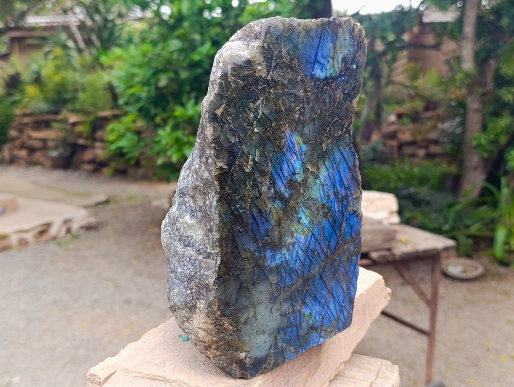 Polished on One Side XL Labradorite Standing Display Piece x 1 From Madagascar