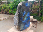 Polished on One Side XL Labradorite Standing Display Piece x 1 From Madagascar