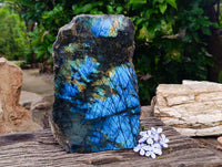 Polished on One Side XL Labradorite Standing Display Piece x 1 From Madagascar