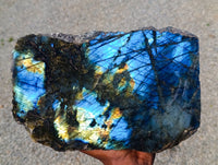 Polished on One Side XL Labradorite Standing Display Piece x 1 From Madagascar