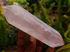 Polished Double Terminated Gemmy Rose Quartz Crystals x 6 From Madagascar - Toprock Gemstones and Minerals 