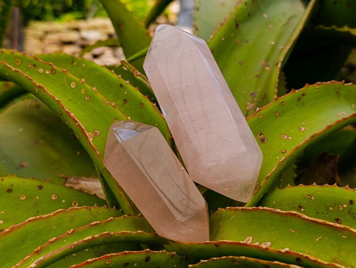 Polished Double Terminated Gemmy Rose Quartz Crystals x 6 From Madagascar - Toprock Gemstones and Minerals 