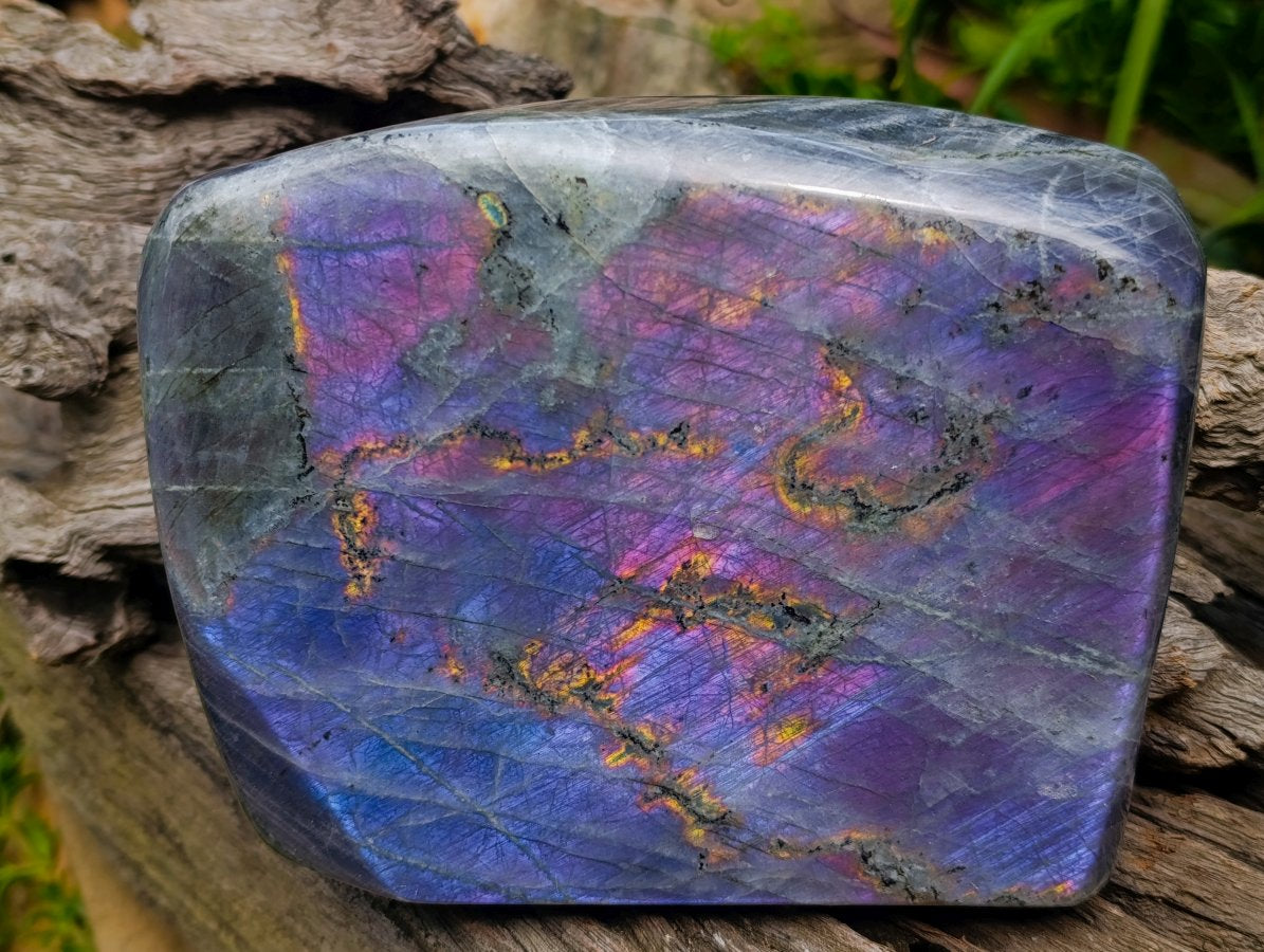 Polished Large Rare Purple Sunset Flash Labradorite Standing Free Form x 1 From Madagascar