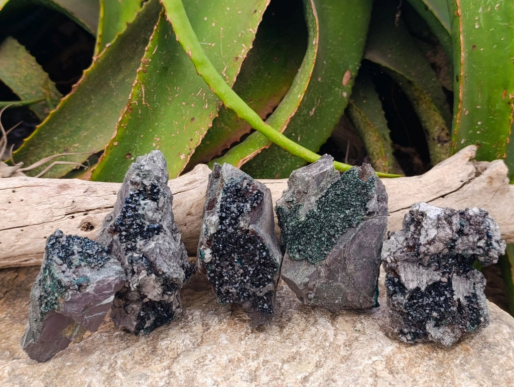 Natural Libethenite Crystals On Dolomite Matrix Specimens x 5 From Shituru, Congo