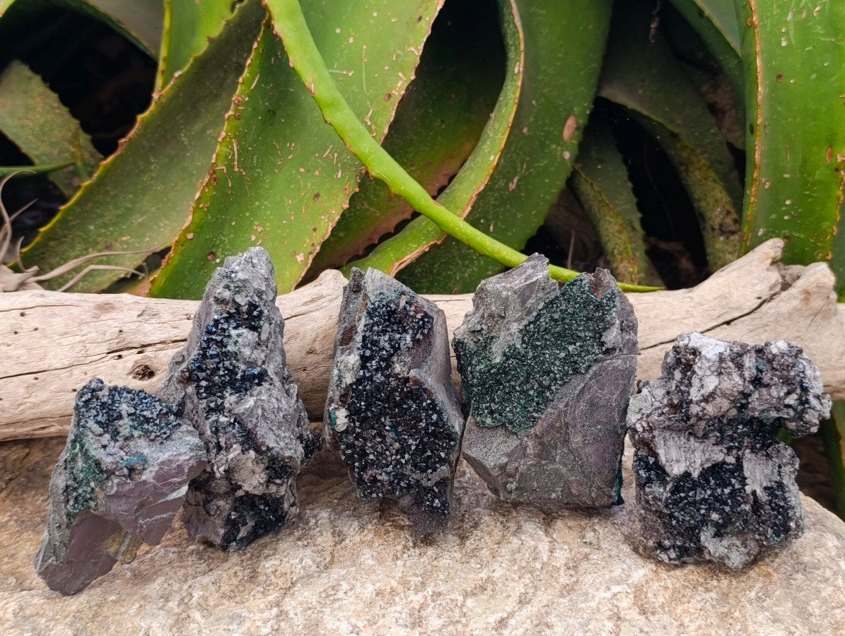 Natural Libethenite Crystals On Dolomite Matrix Specimens x 5 From Shituru, Congo