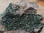 Natural Libethenite Crystals On Dolomite Matrix Specimens x 5 From Shituru, Congo