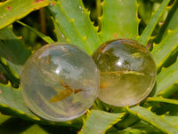 Polished Mixed Quartz Crystal Spheres x 12 From Madagascar
