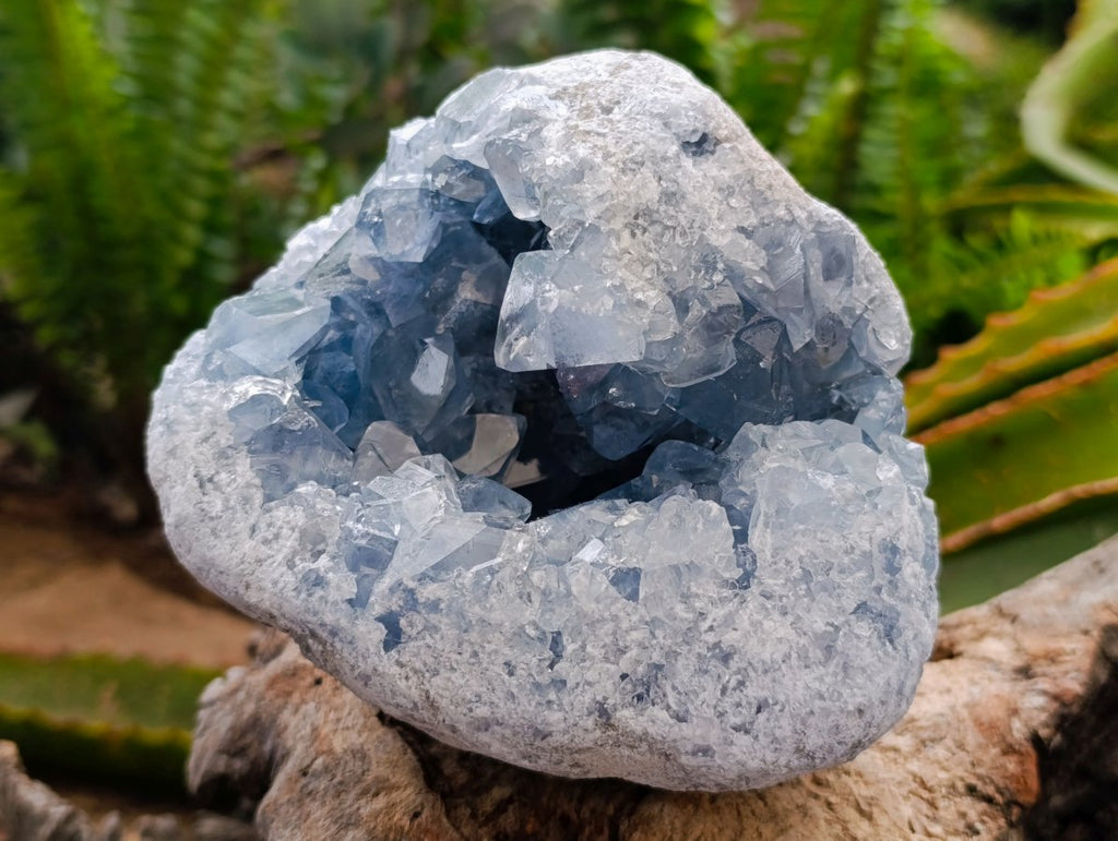 Natural Blue Celestite Geode Specimens x 2 From Sakoany, Madagascar