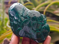 Polished Flower Banded Malachite Free Forms x 6 From Congo