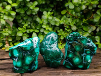 Polished Flower Banded Malachite Free Forms x 6 From Congo