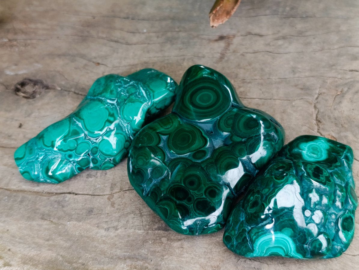 Polished Flower Banded Malachite Free Forms x 6 From Congo