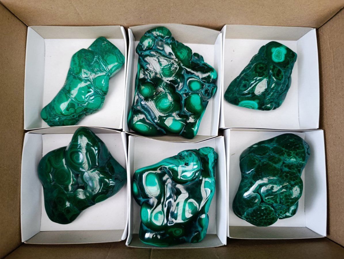 Polished Flower Banded Malachite Free Forms x 6 From Congo