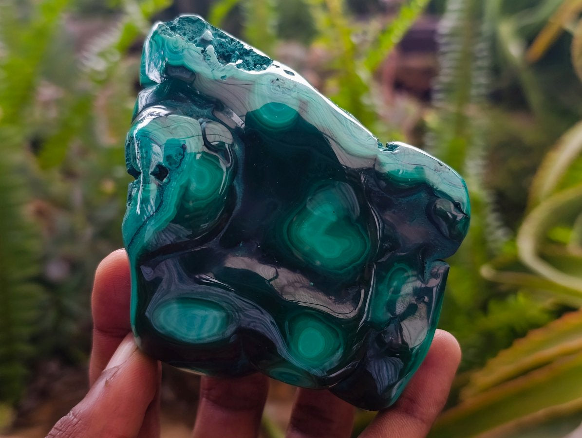 Polished Flower Banded Malachite Free Forms x 6 From Congo