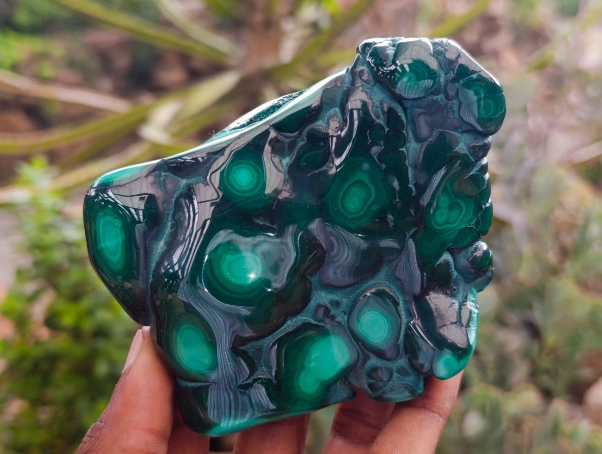 Polished Flower Banded Malachite Free Forms x 6 From Congo