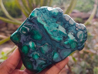 Polished Flower Banded Malachite Free Forms x 6 From Congo