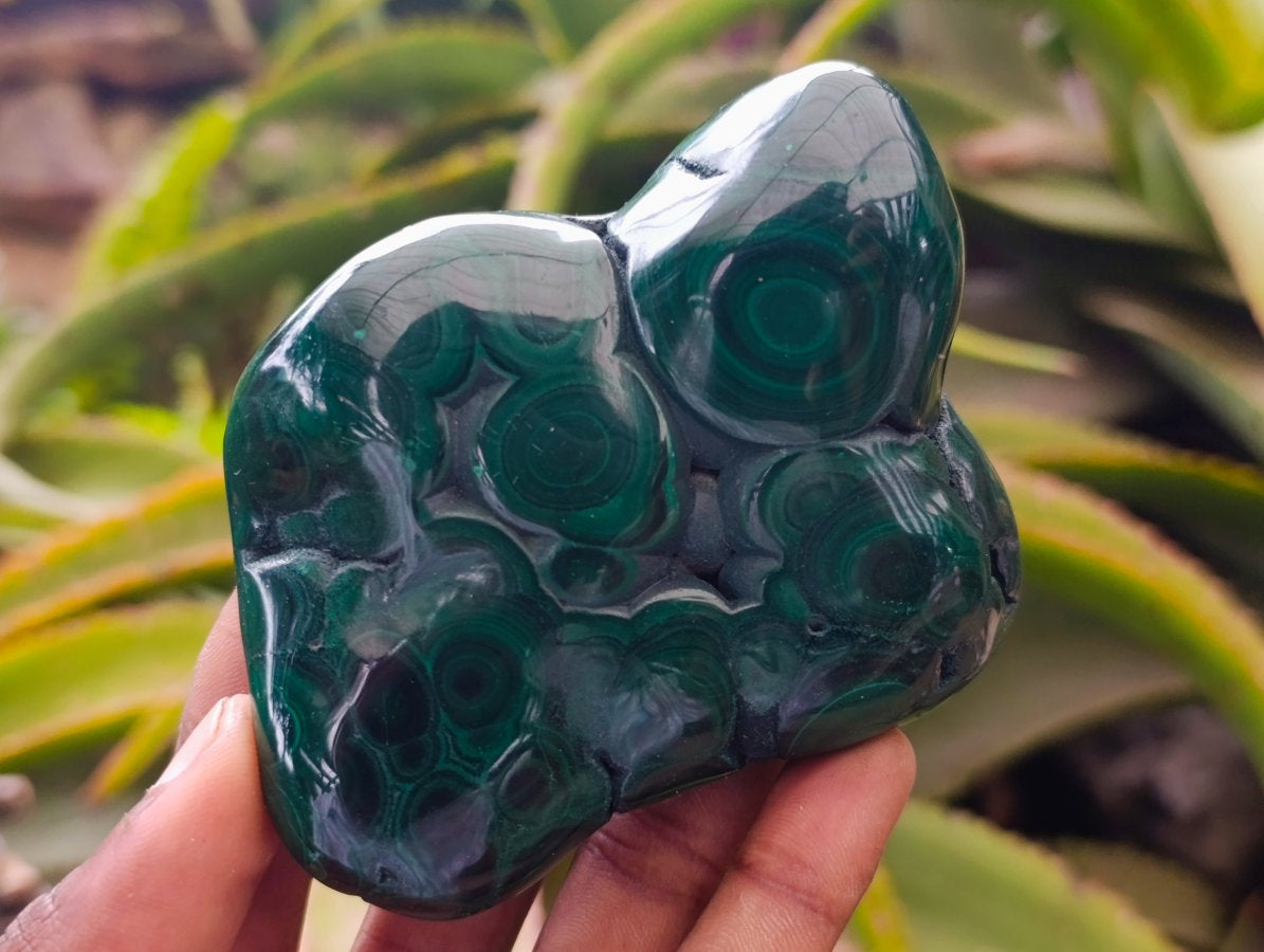 Polished Flower Banded Malachite Free Forms x 6 From Congo