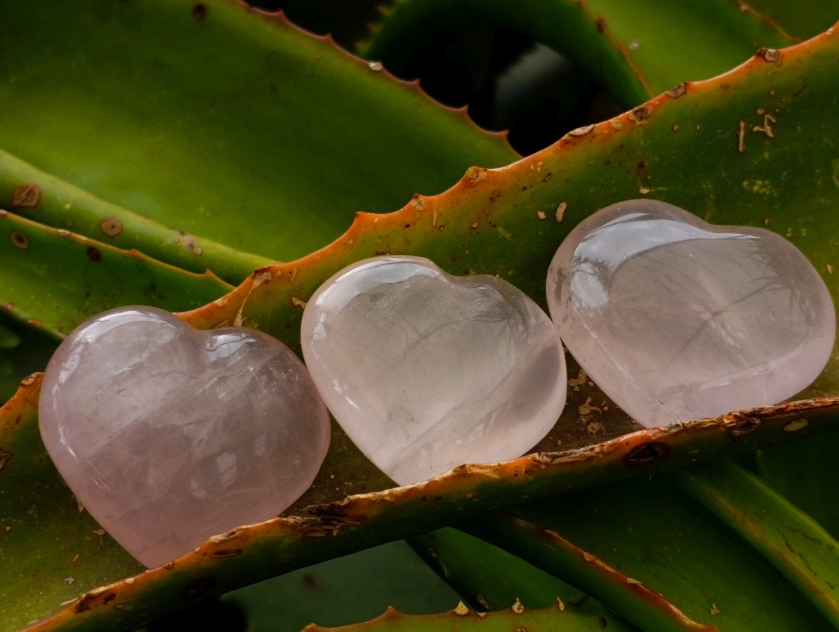 Polished Gemmy Rose Quartz Hearts x 20 From Madagascar