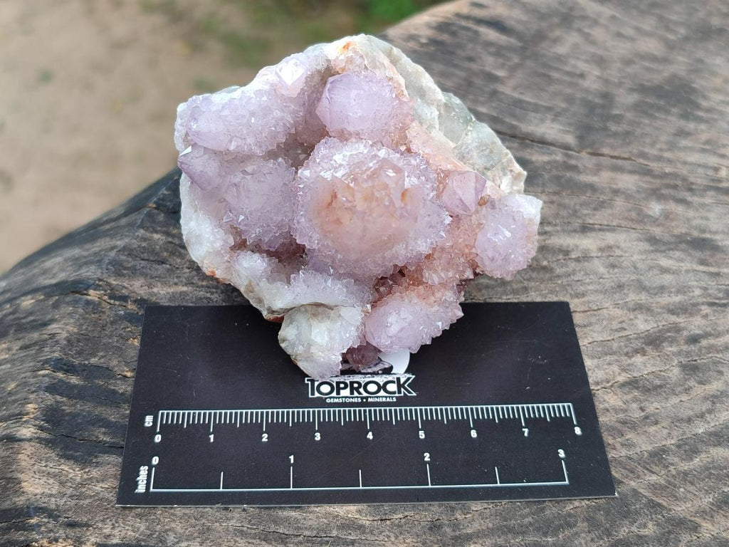 Natural Amethyst Spirit Clusters x 6 From Boekenhouthoek, South Africa