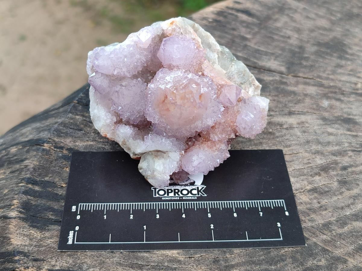 Natural Amethyst Spirit Clusters x 6 From Boekenhouthoek, South Africa