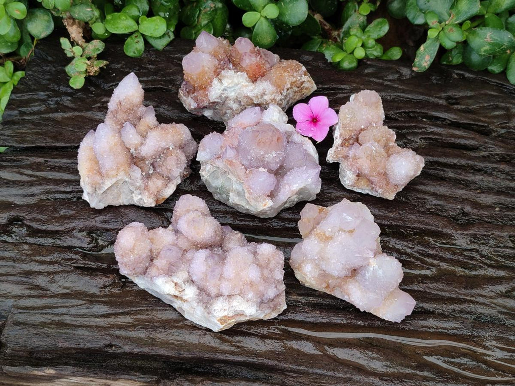 Natural Amethyst Spirit Clusters x 6 From Boekenhouthoek, South Africa