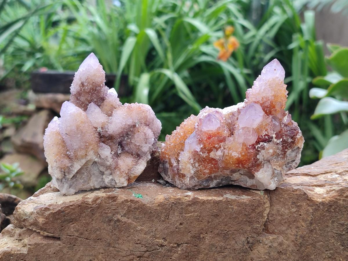 Natural Amethyst Spirit Clusters x 6 From Boekenhouthoek, South Africa