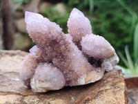 Natural Amethyst Spirit Clusters x 6 From Boekenhouthoek, South Africa