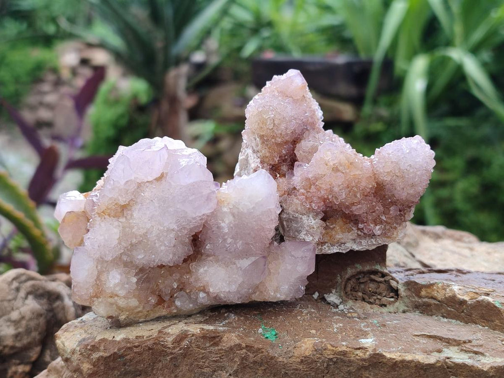 Natural Amethyst Spirit Clusters x 6 From Boekenhouthoek, South Africa