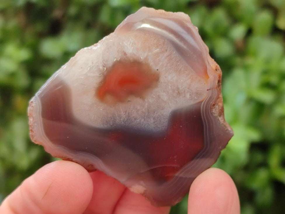 Polished Red Shashe River Agate Nodules x 48 From Shashe River, Zimbabwe